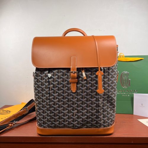 Backpack for organized travel carry