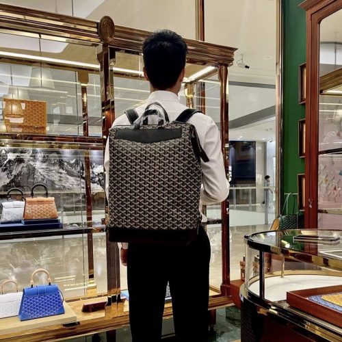 Backpack for organized travel carry