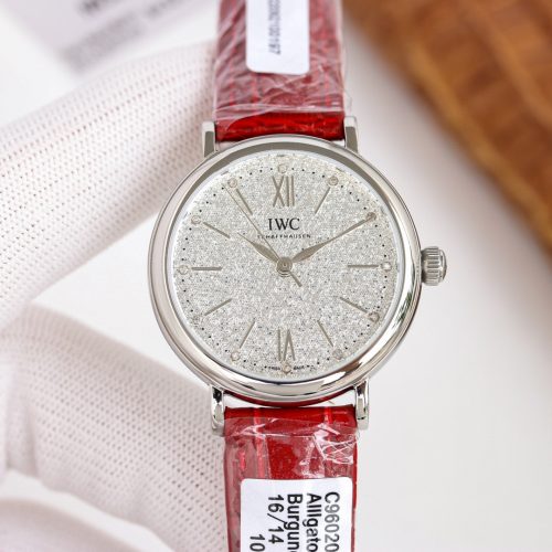 IW watch