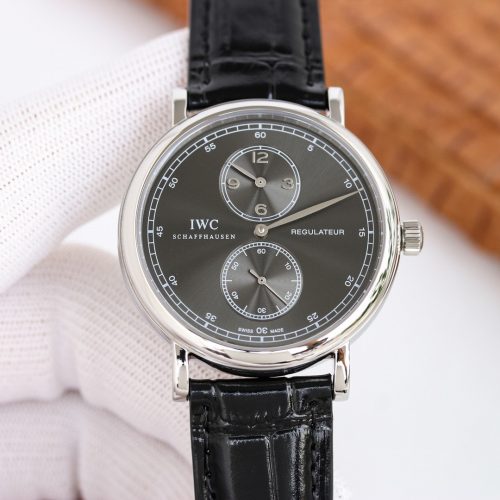 IW watch