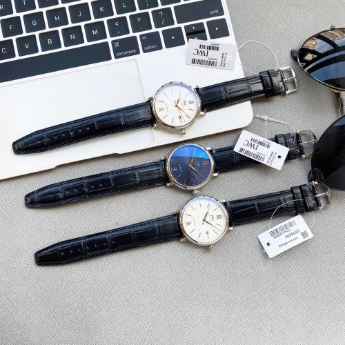 IW watch