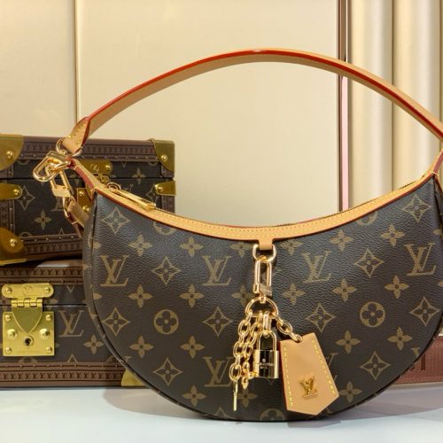 Loop Hobo Moon Handbag